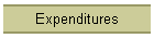 Expenditures