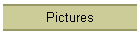 Pictures
